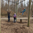MST: Tag des Waldes