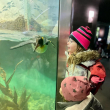 Zoobesuch Unterstufe