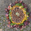 Nature-Art